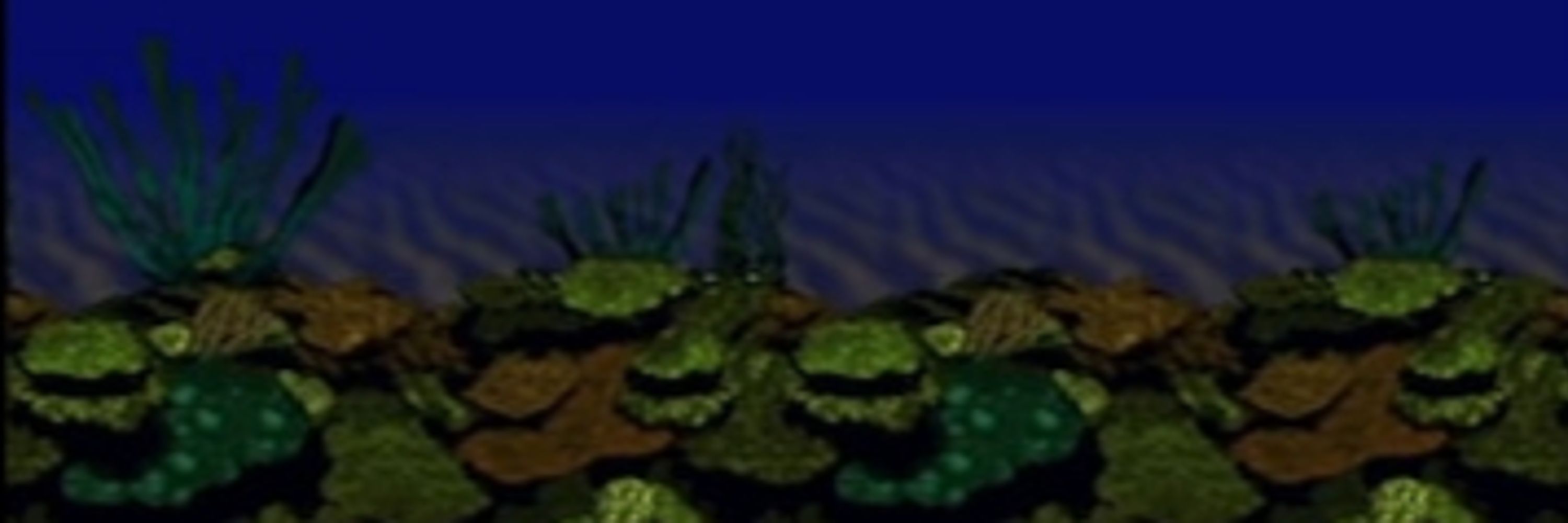 Ocean Monke