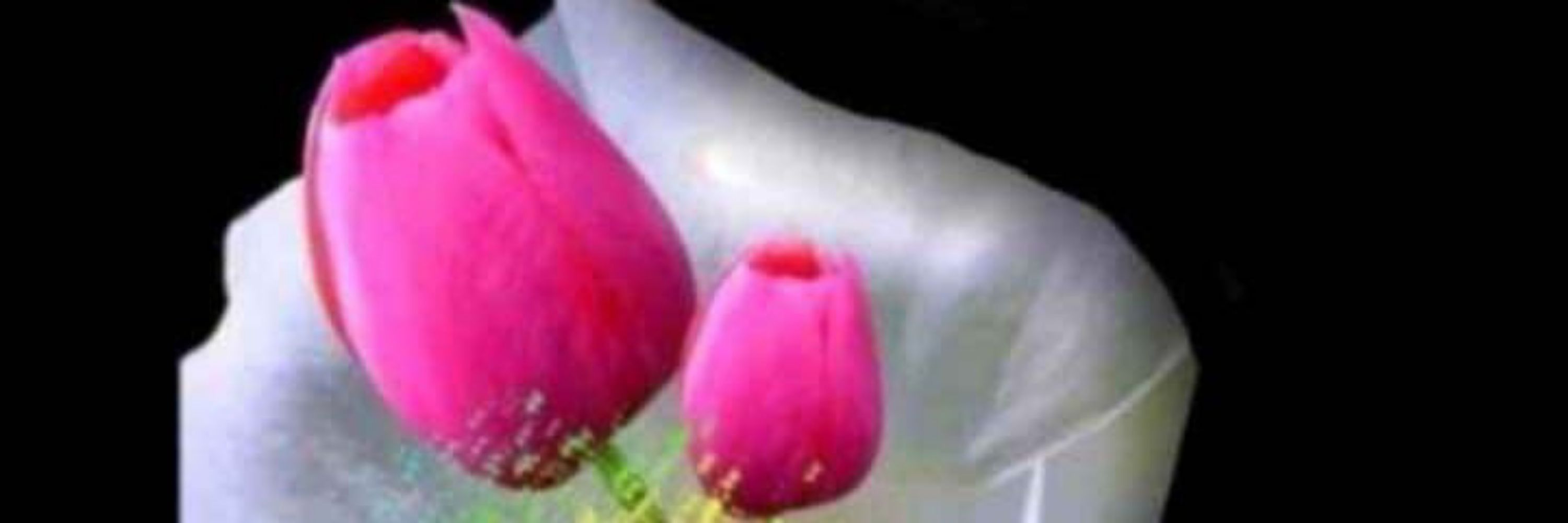Khurram Shahzad Warraich
