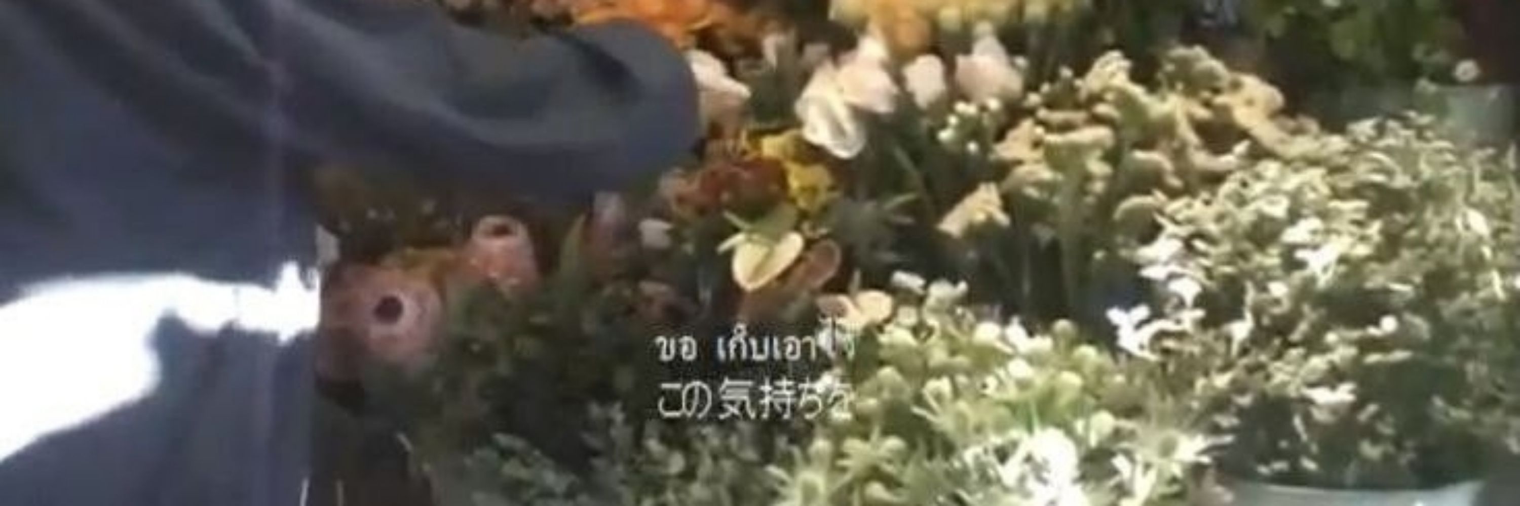 ริวเซย์เด้กโปก