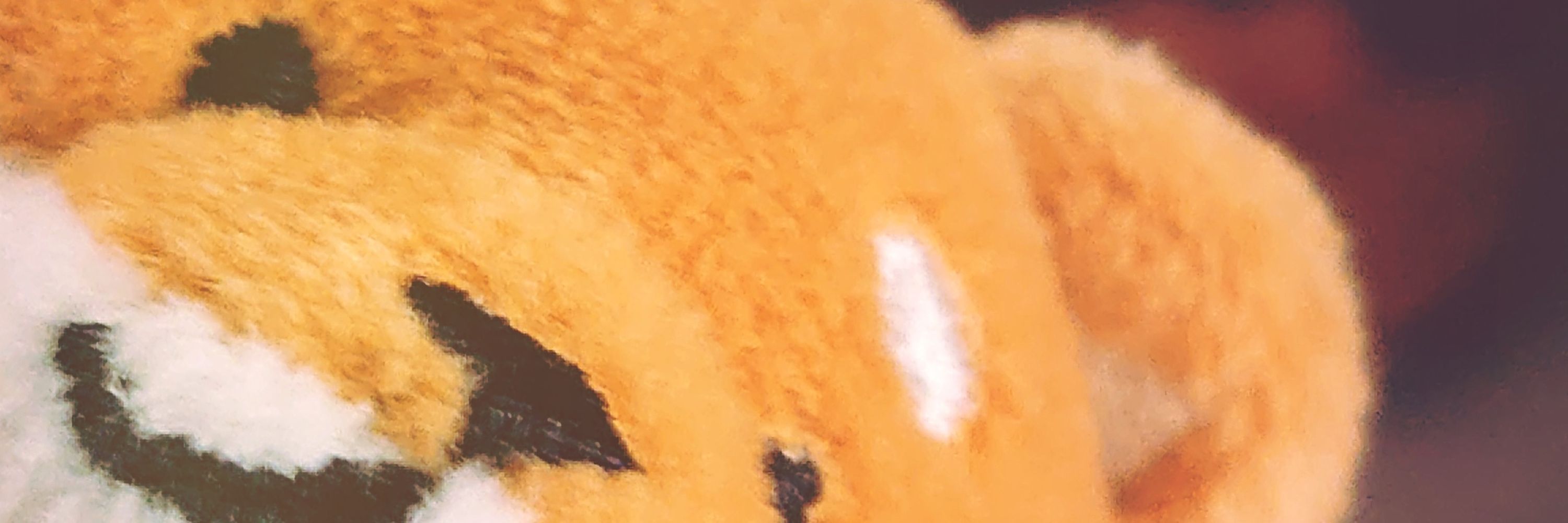 🐶くろすけ