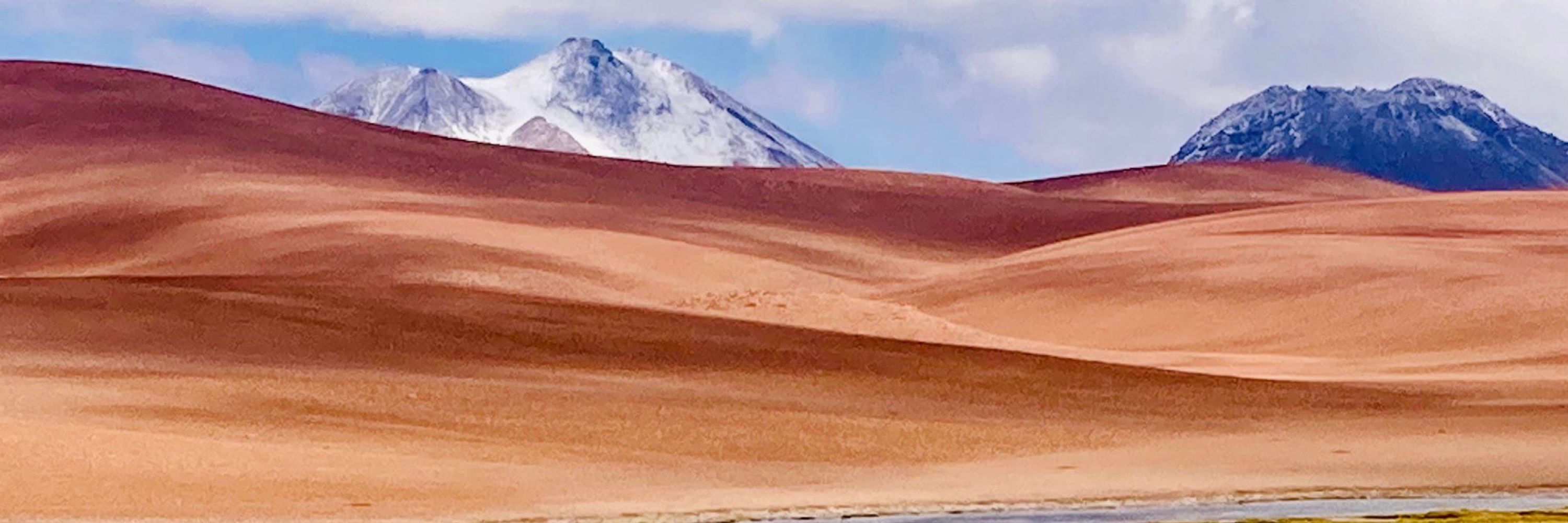 Elena Gili Sampol