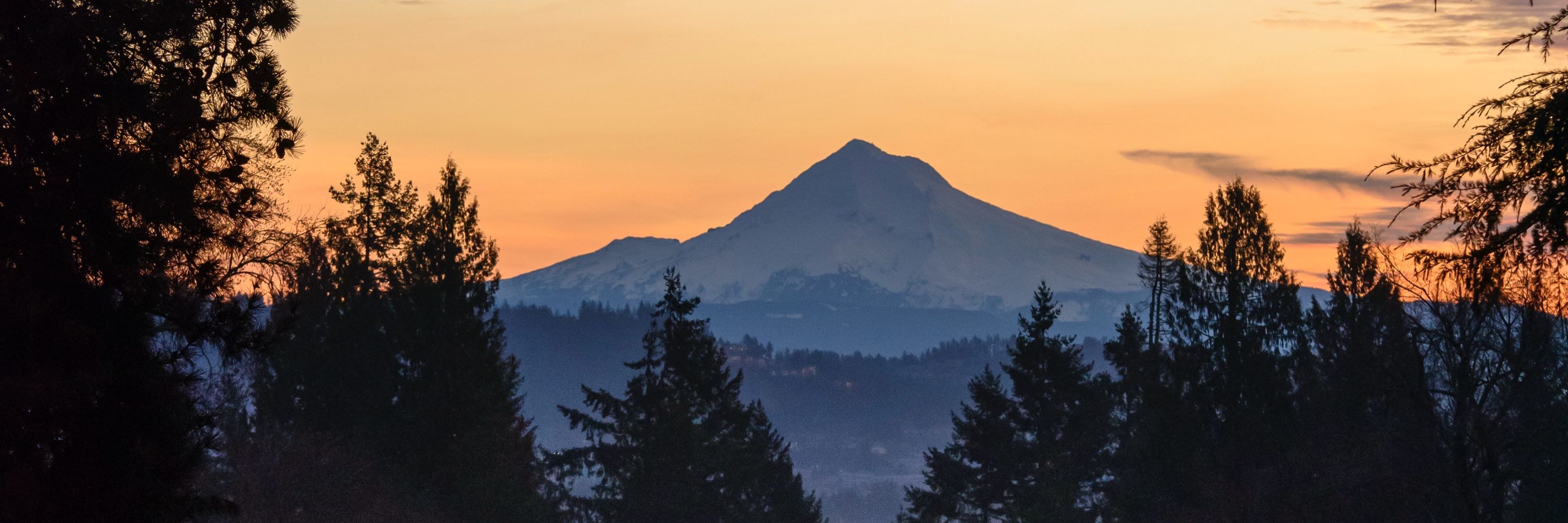 Lewis & Clark College