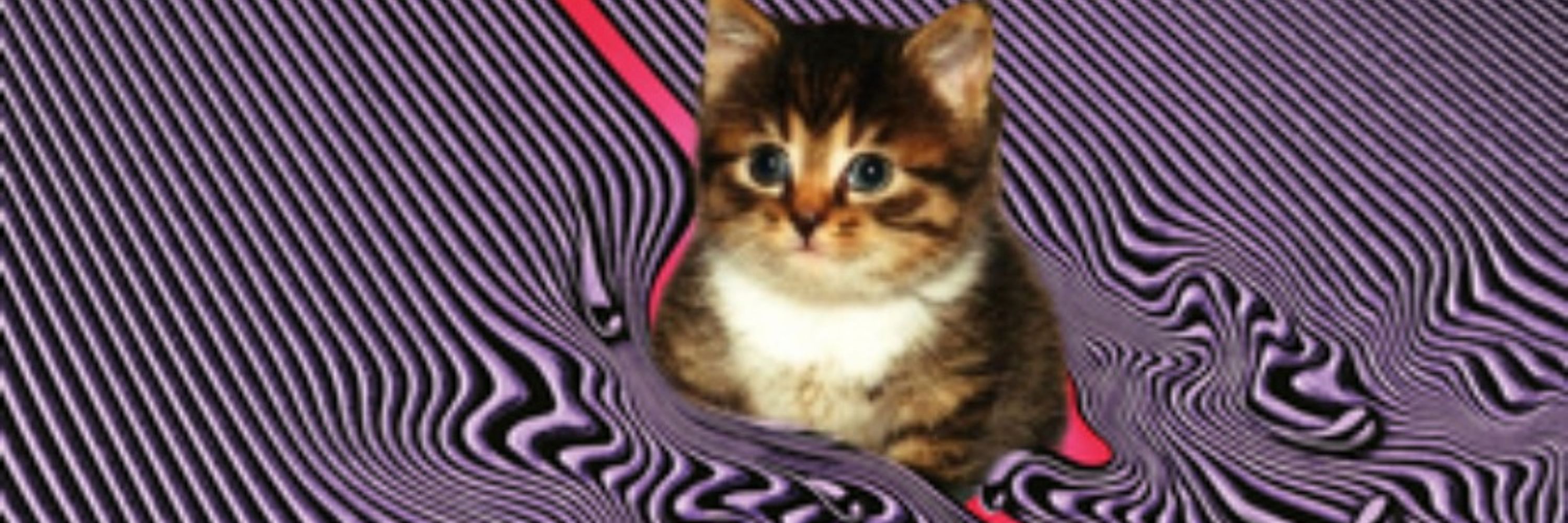 Clybius