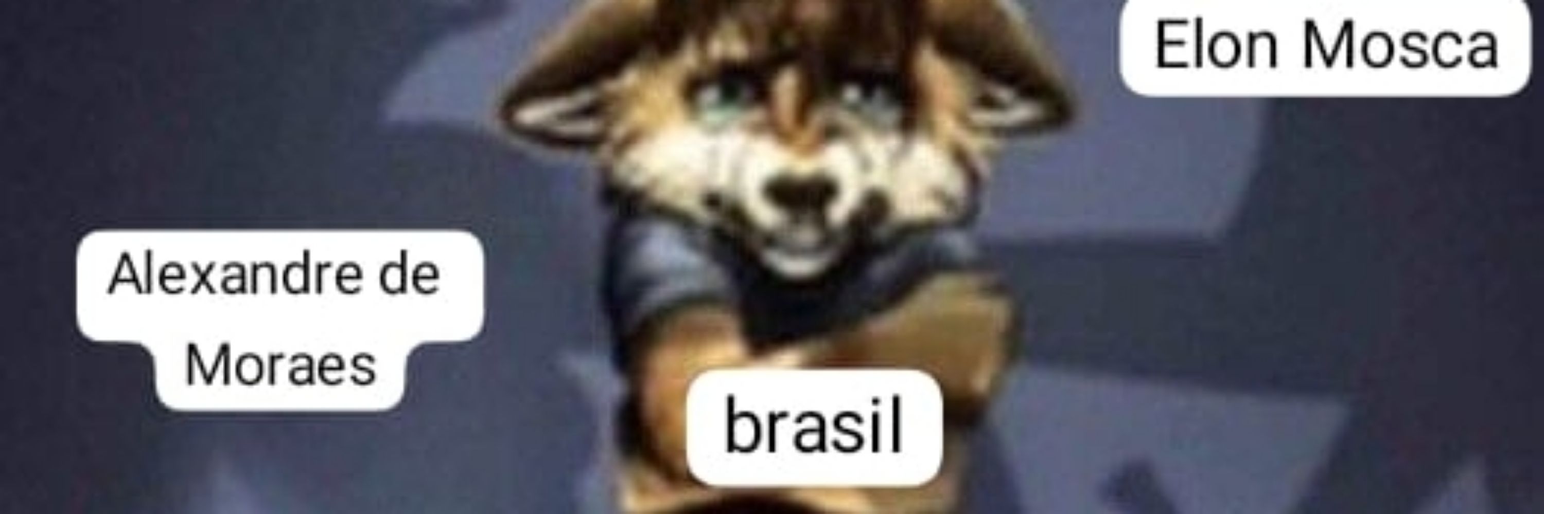 Paulo Felipe 💋