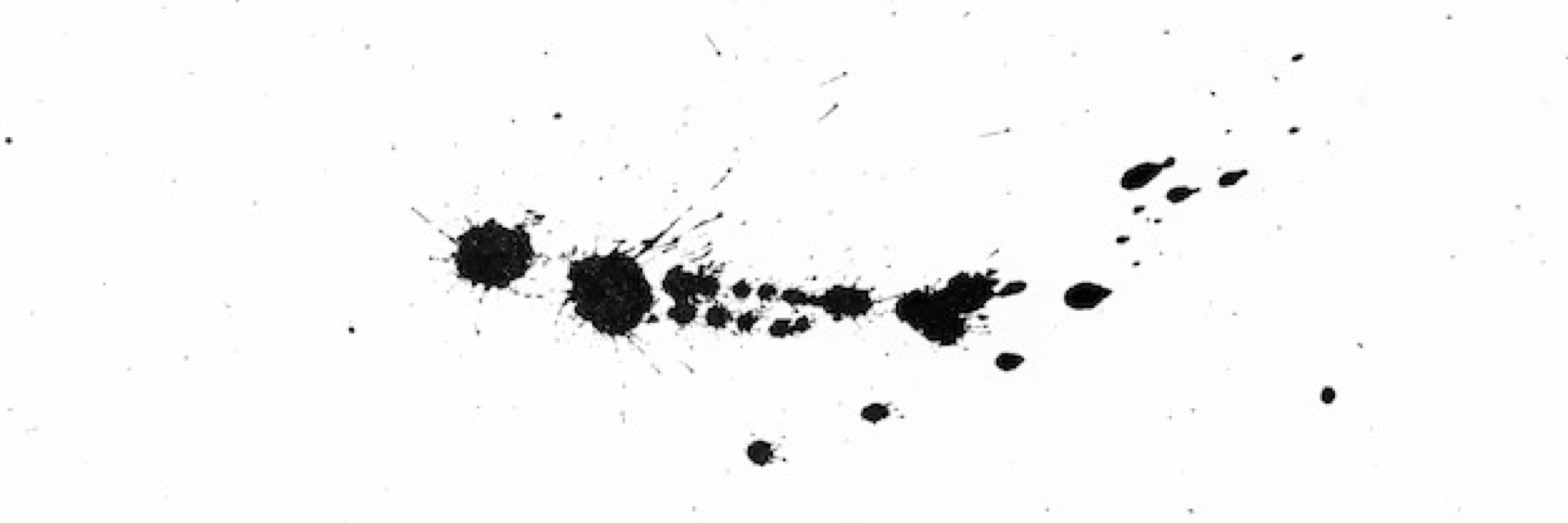Echos of Ink
