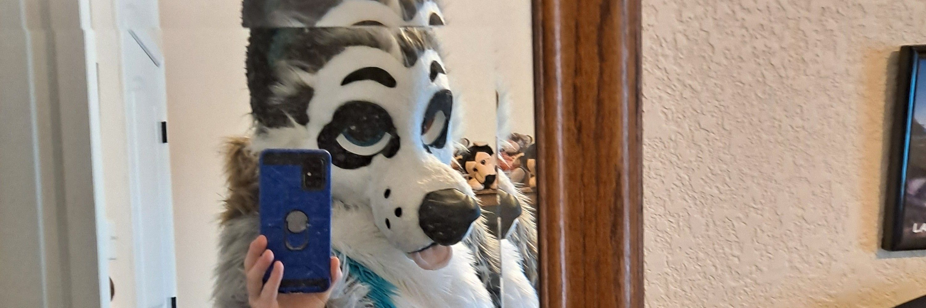 Auggieshep