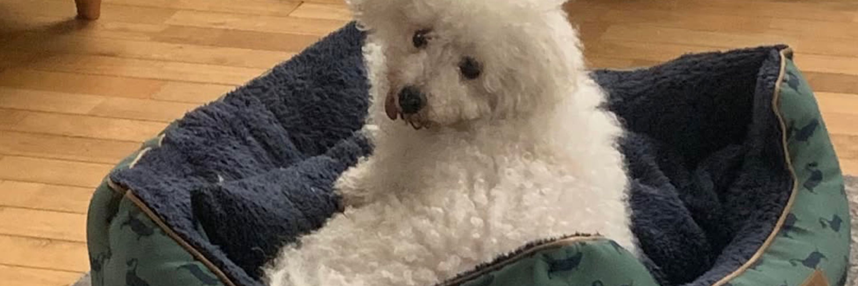Ben