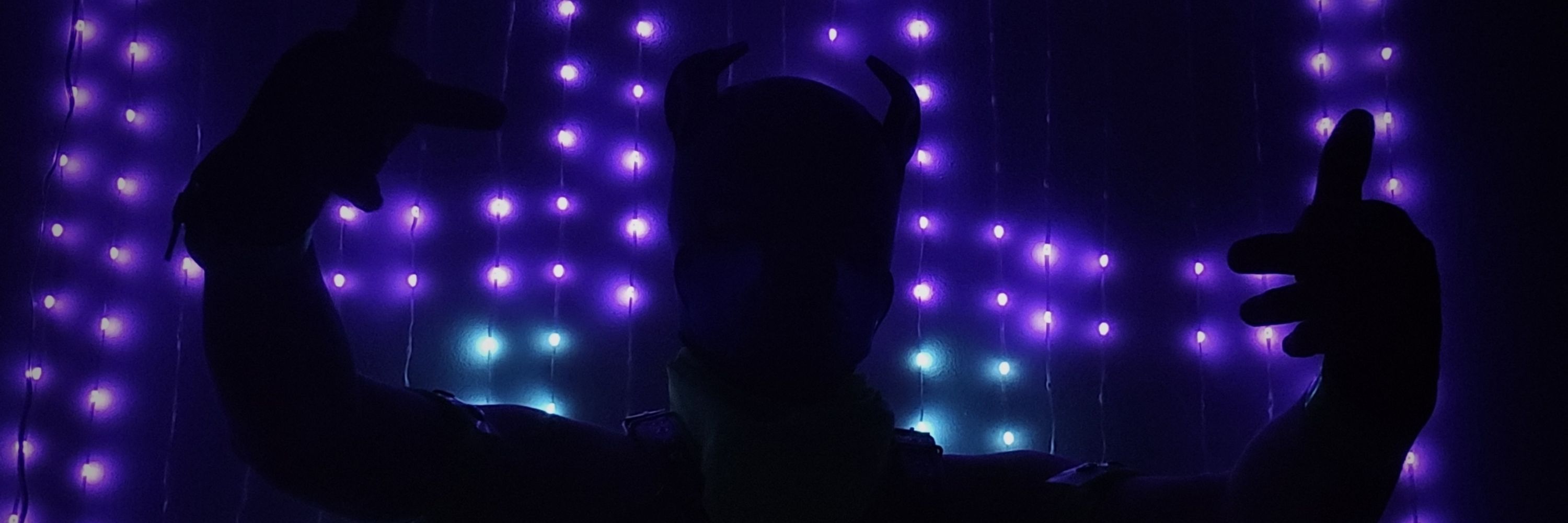 ⚡️Asher Pinefox⚡️