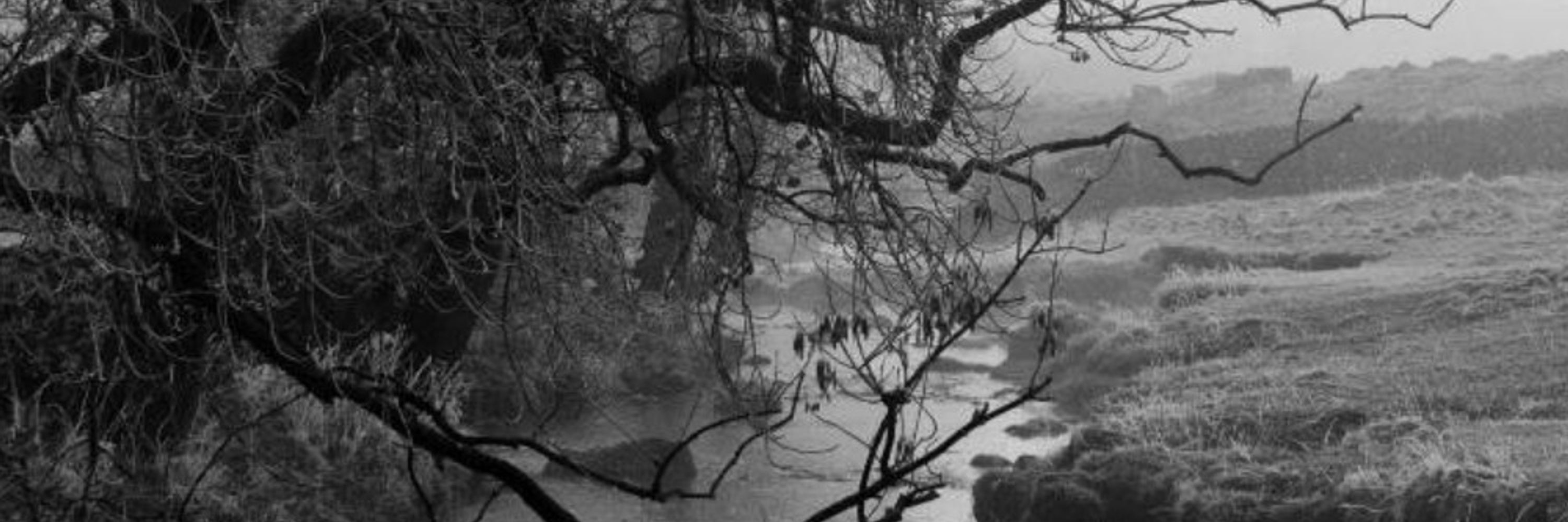 Andrew Beresford