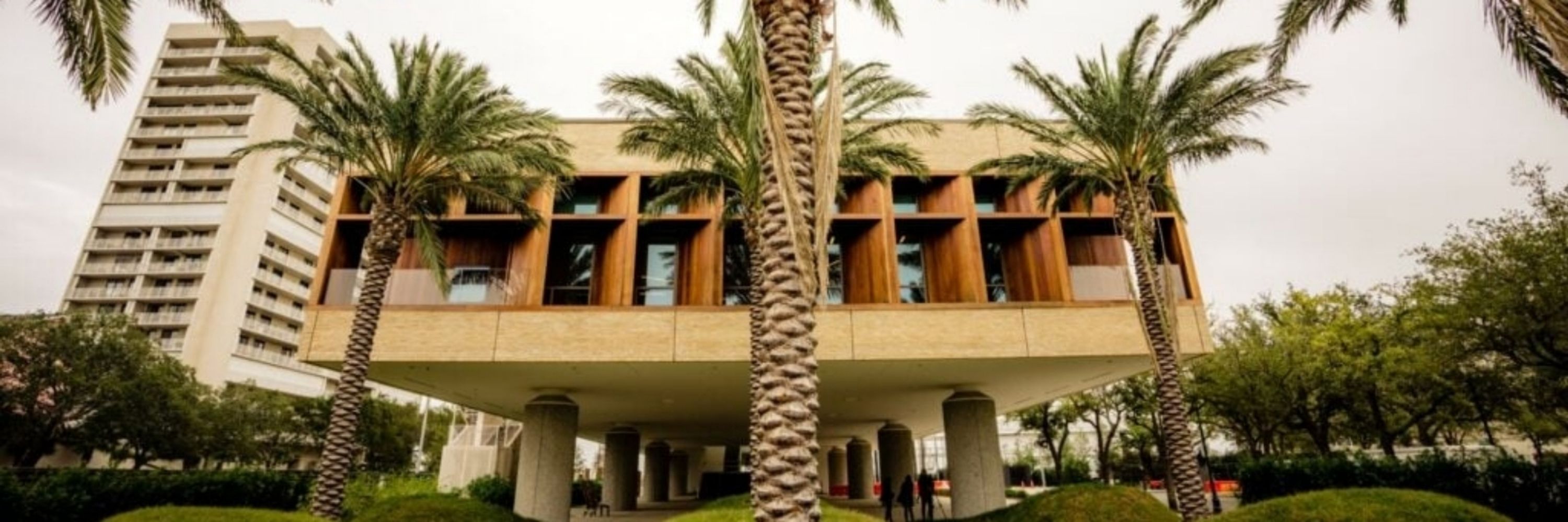 International African American Museum (IAAM)