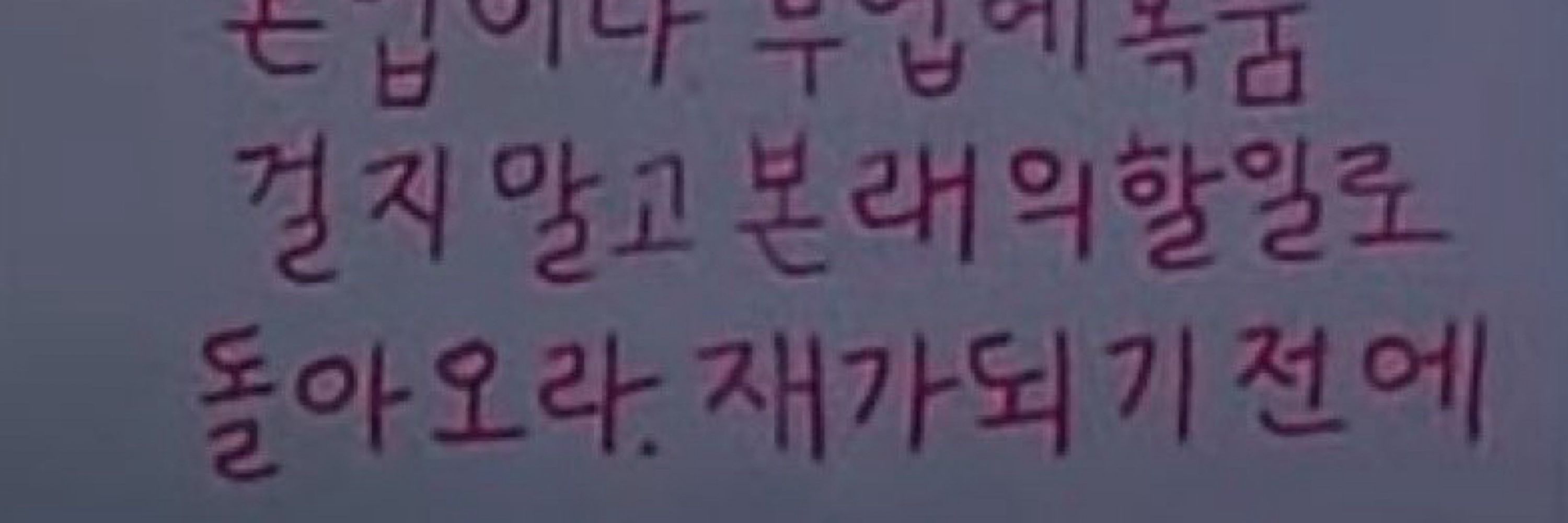도마뱀좋아