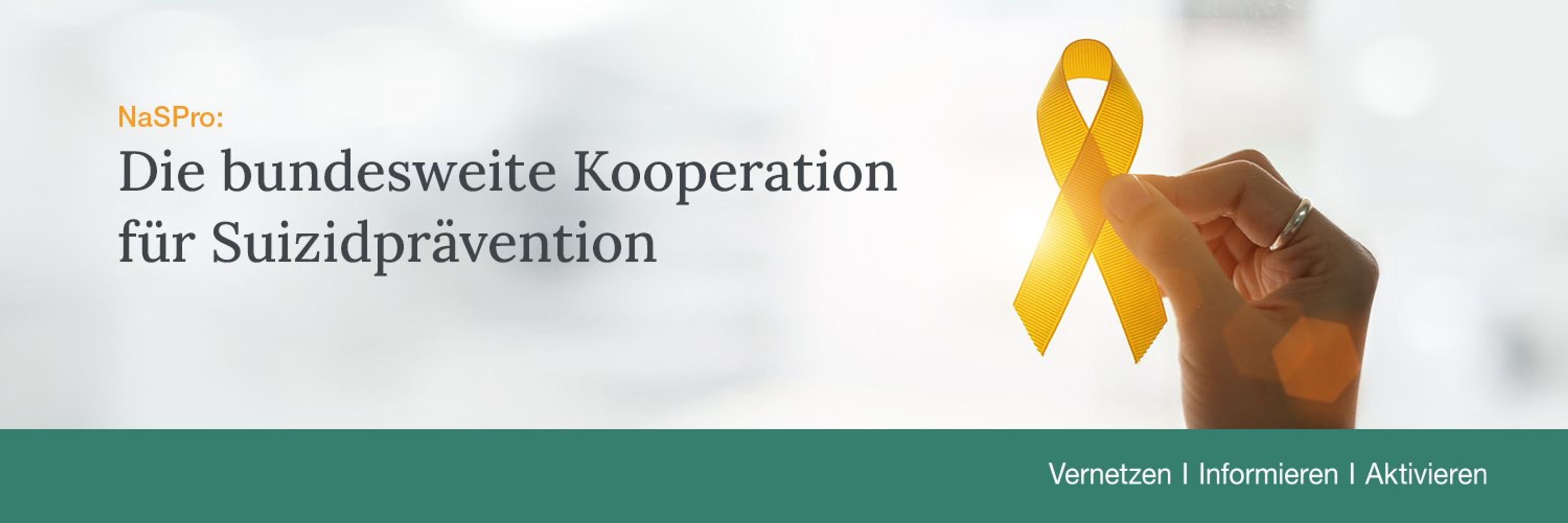 Nationales Suizidpräventionsprogramm