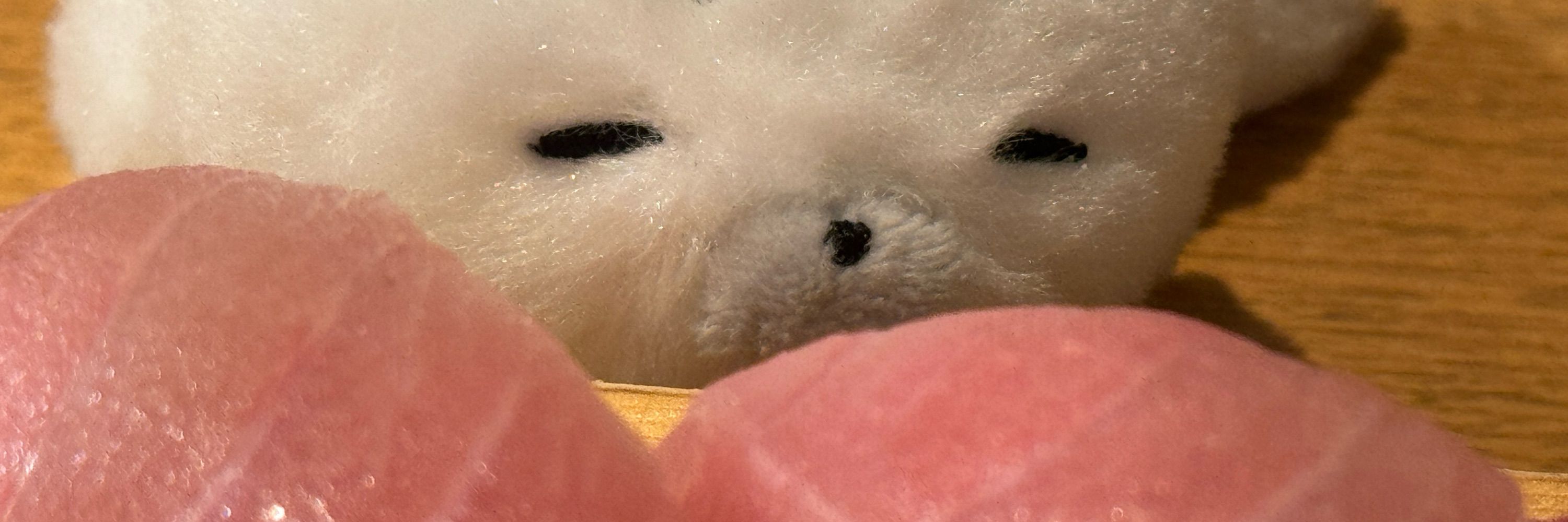 ゆき( ´ω｀っ  )3