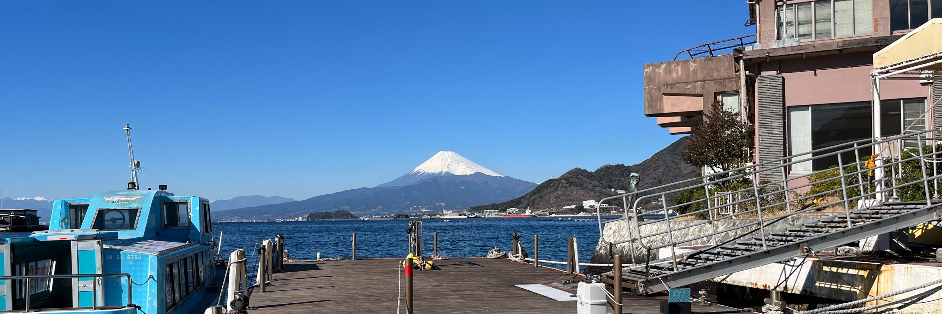 レヴィン