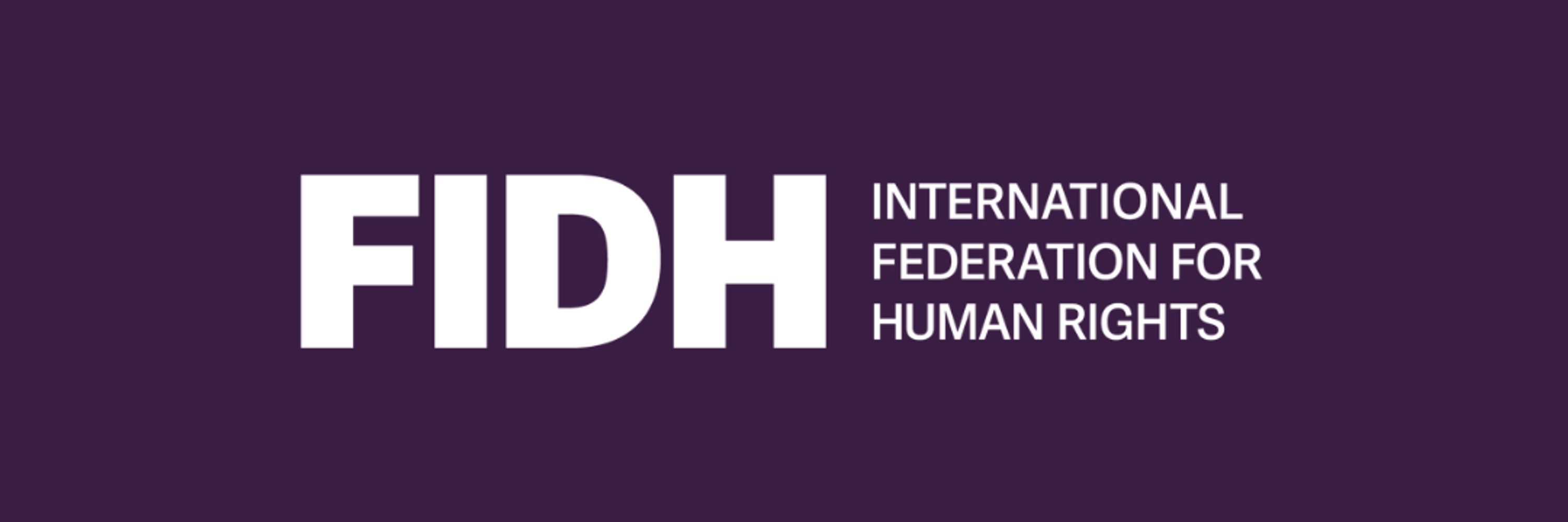 FIDH (International Federation for Human Rights)