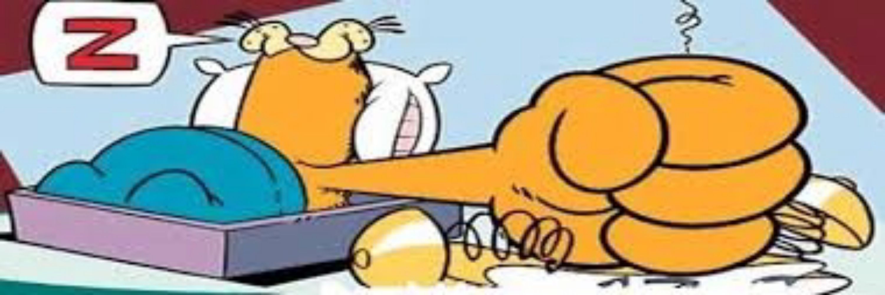 Eu Odeio Acordar Cedo 😴