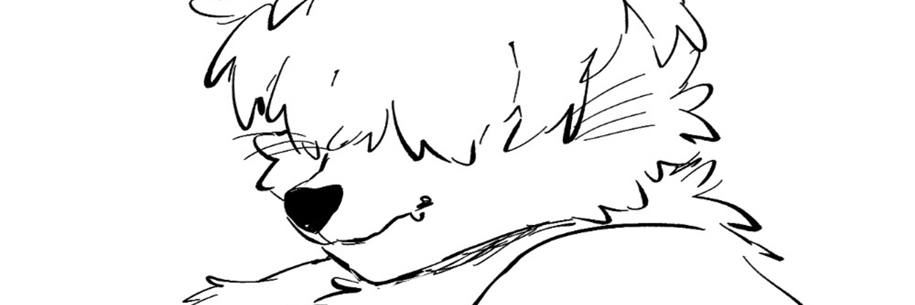 masked bear.