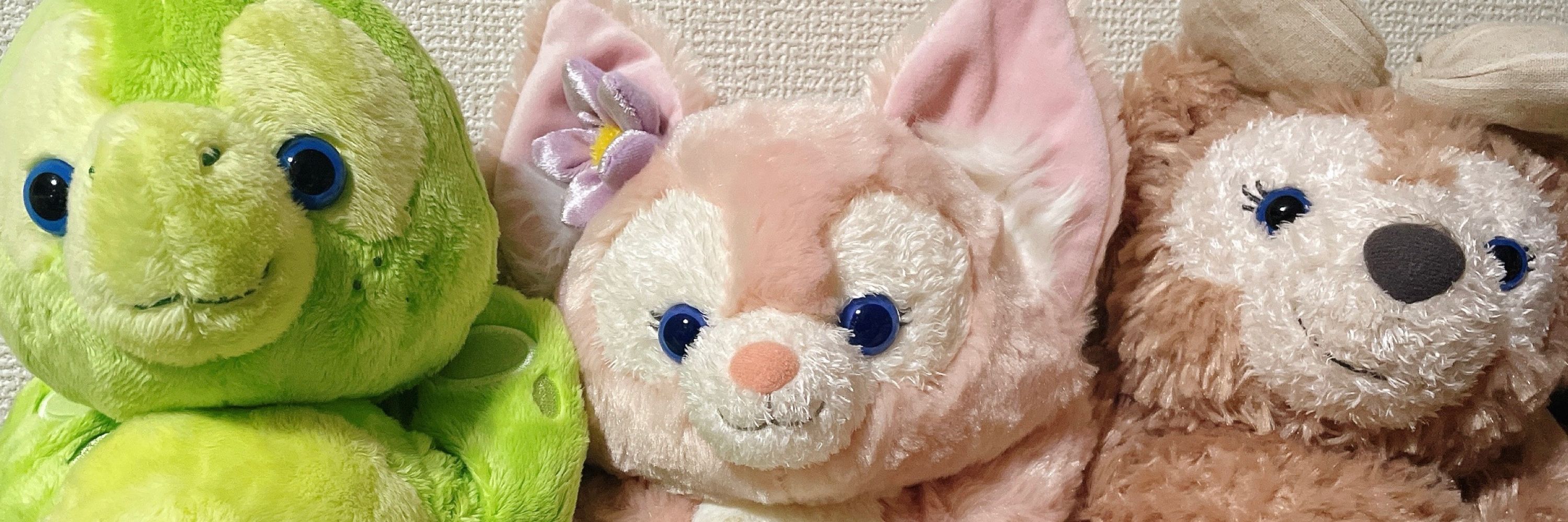 もゆ