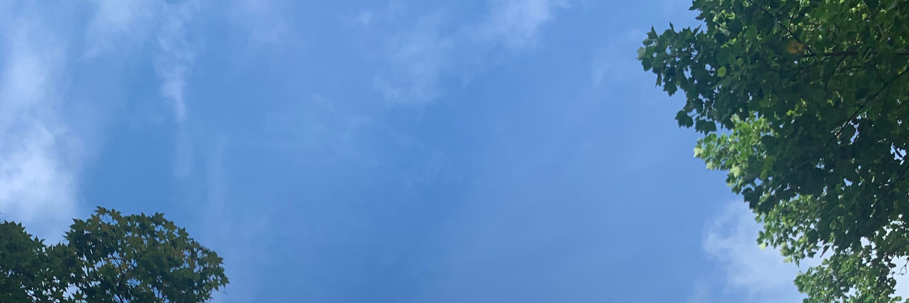 전직 공공도서관사서