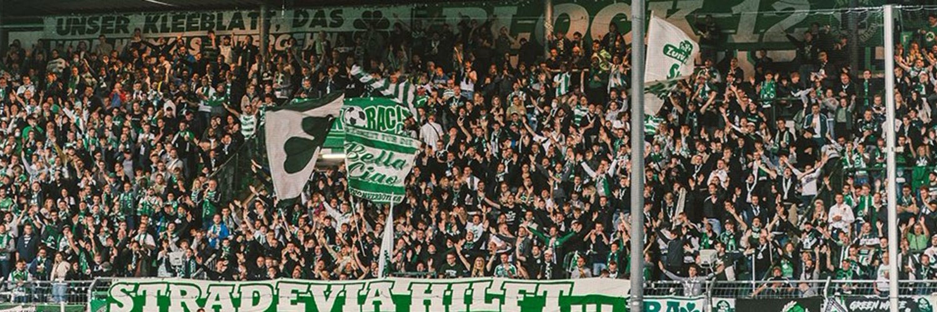 reviveJokidoa ☘️