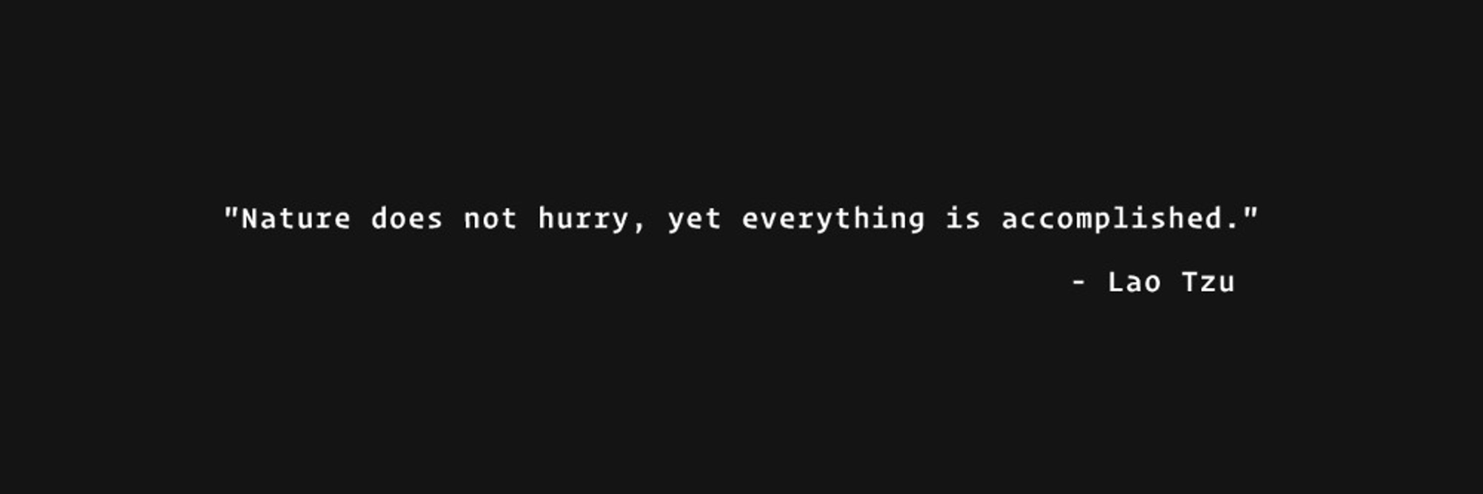 Daryl Legion {php, vue}⚡