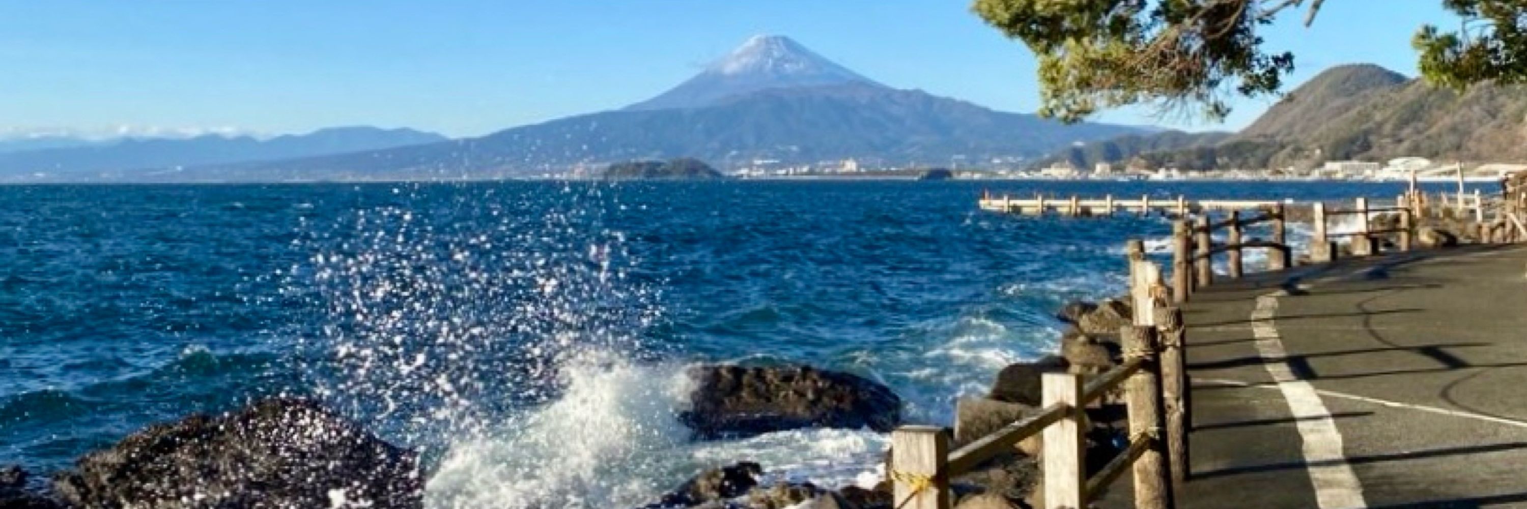 むすけ