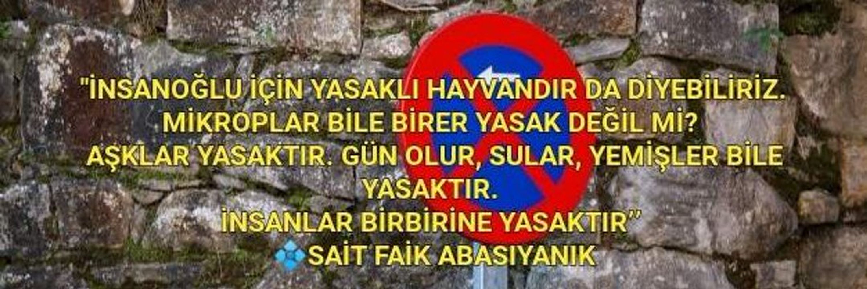 Alp Bartu