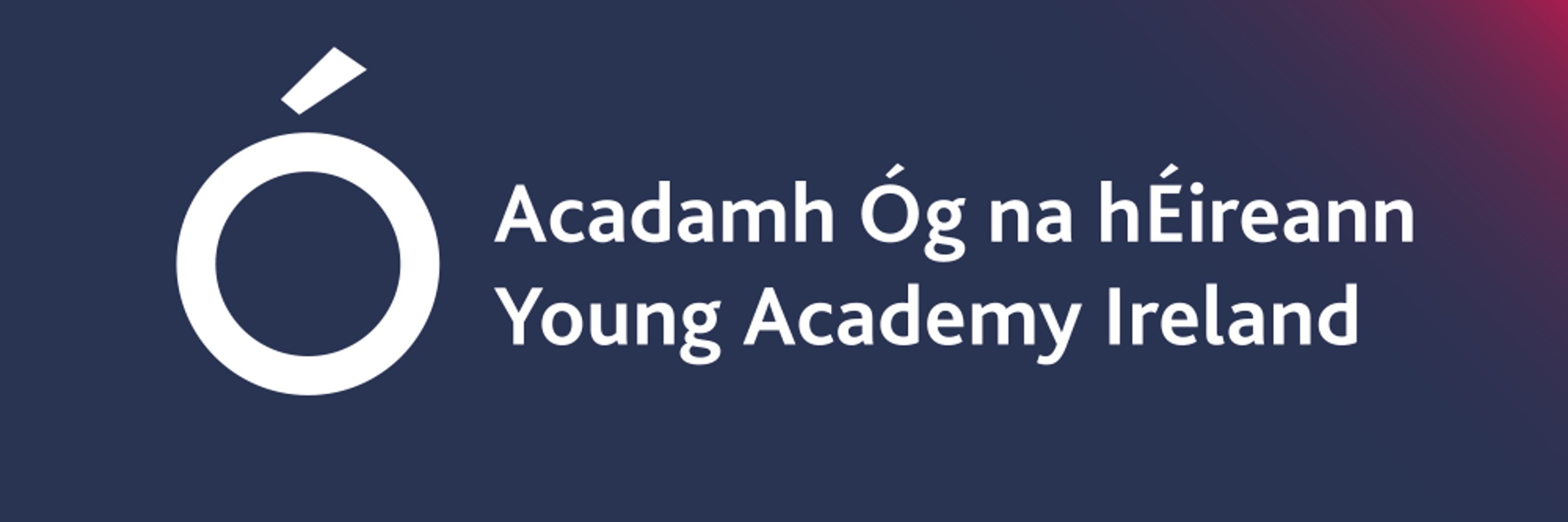 Young Academy Ireland 