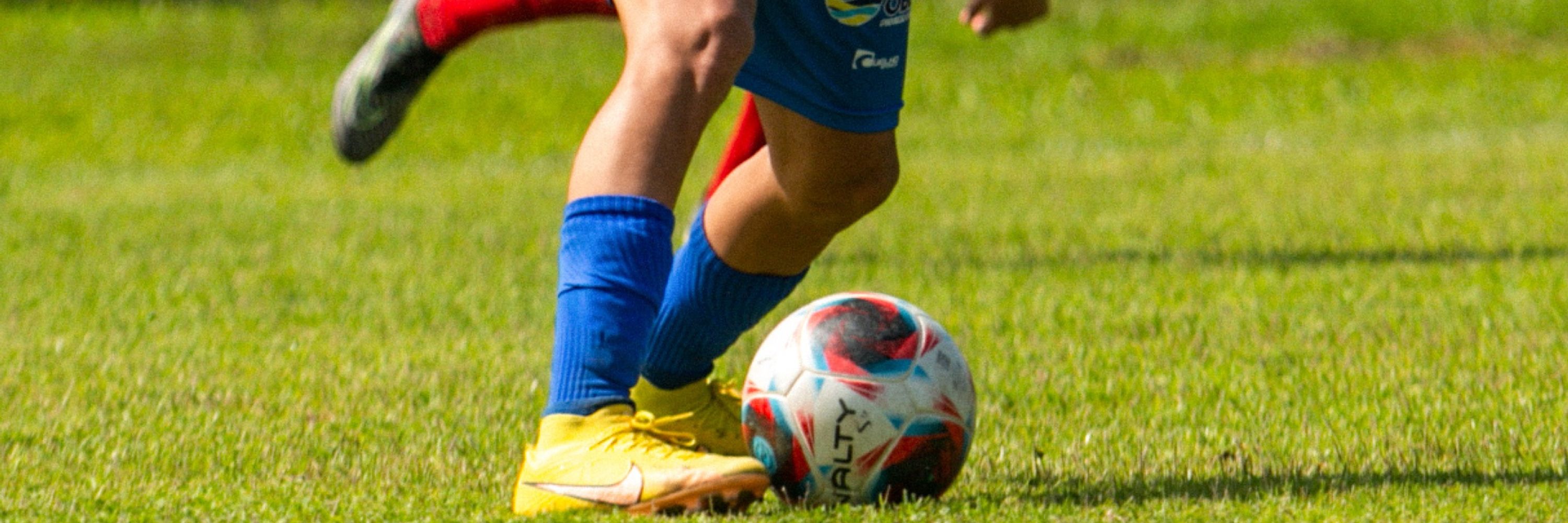 luiz bressan