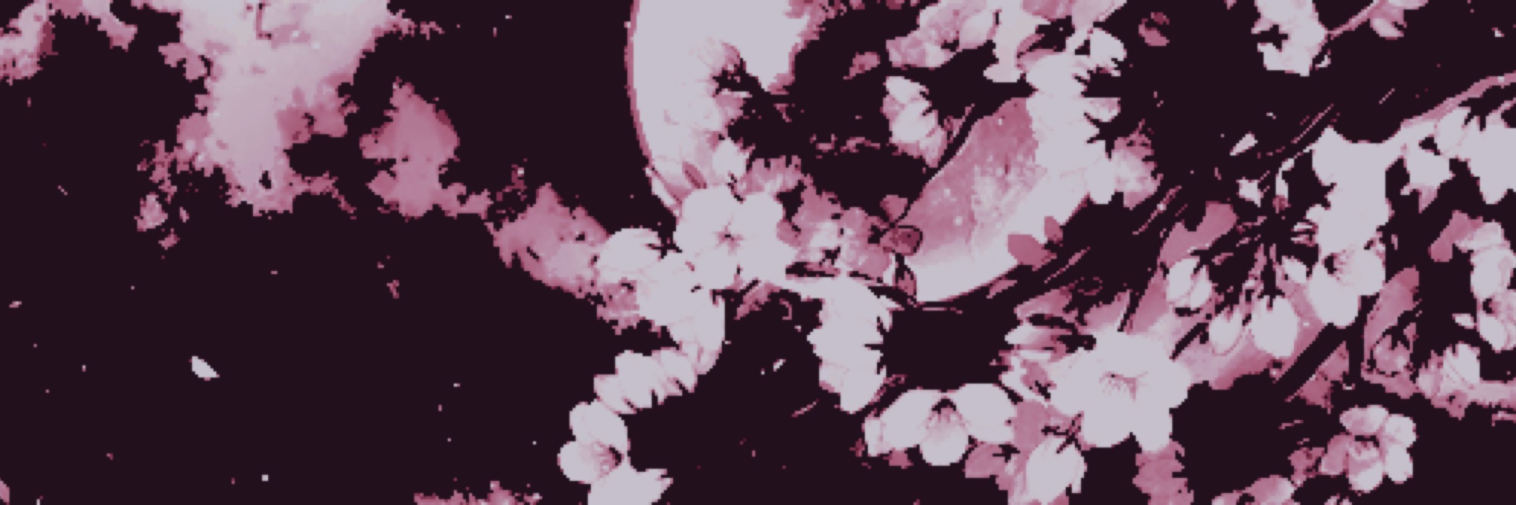 ᝰ. ⋆˙⟡ ৻ꪆ ‍ 𝑔𝘦𝘯𝘯𝘺 ‍ ∿ 🍉