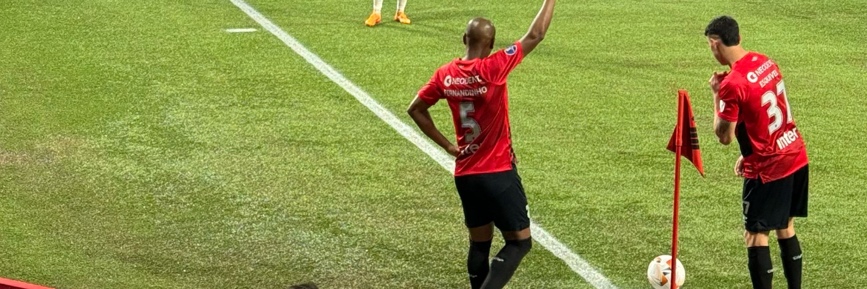 Bruno Correa