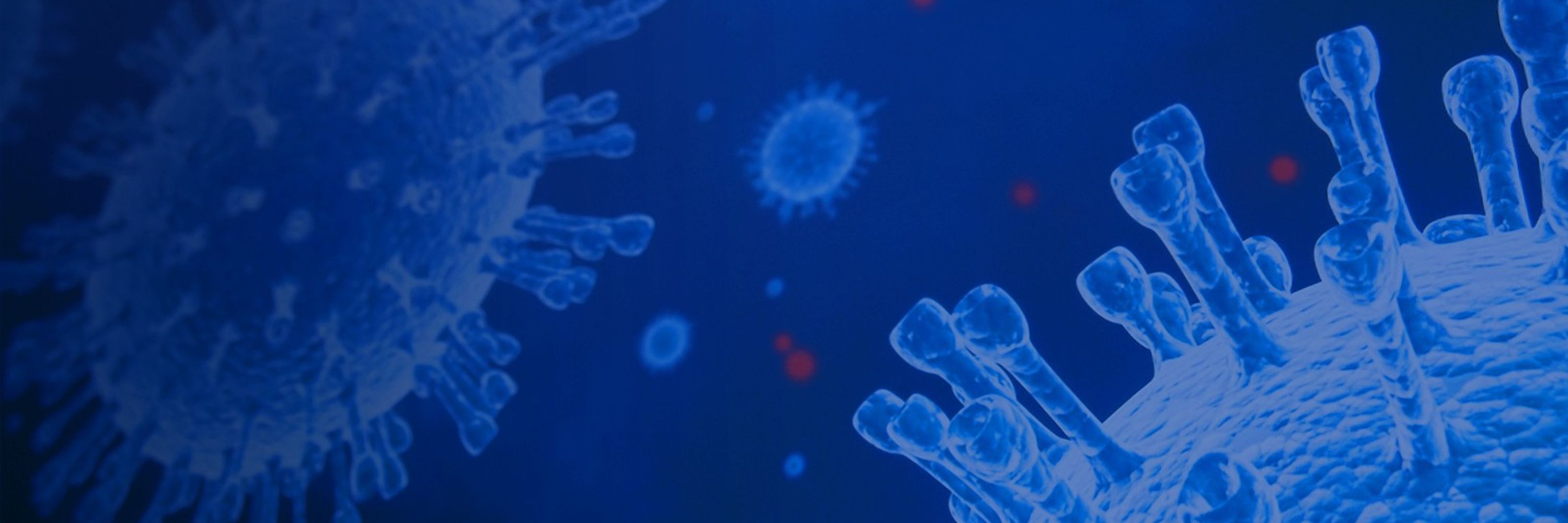 International Society for Infectious Diseases (ISID)