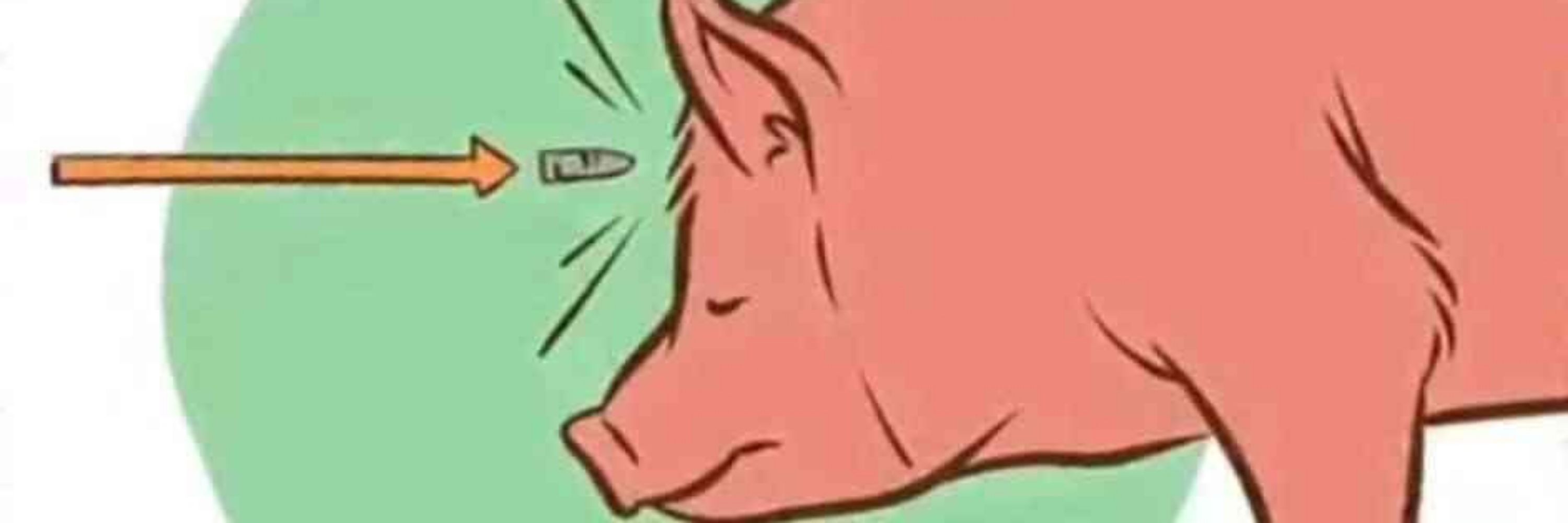 Alcoholicus the Evertired