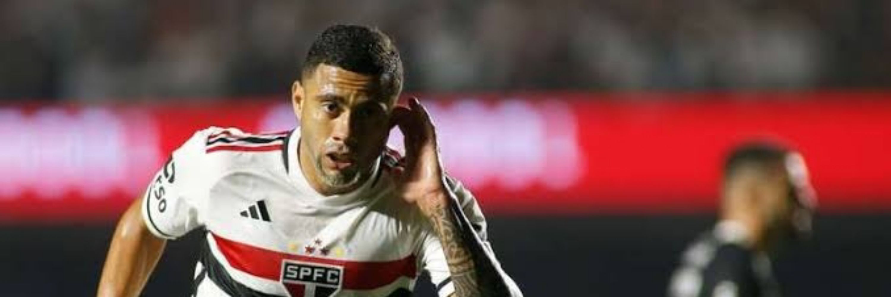 tonho