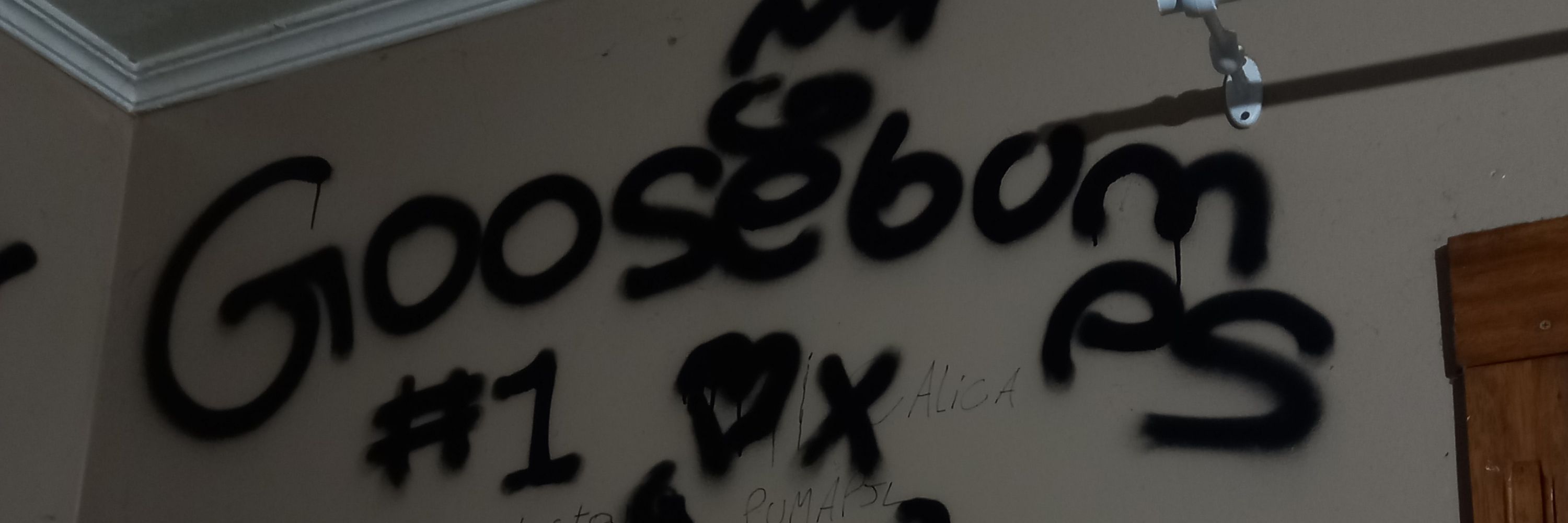 o mano ai