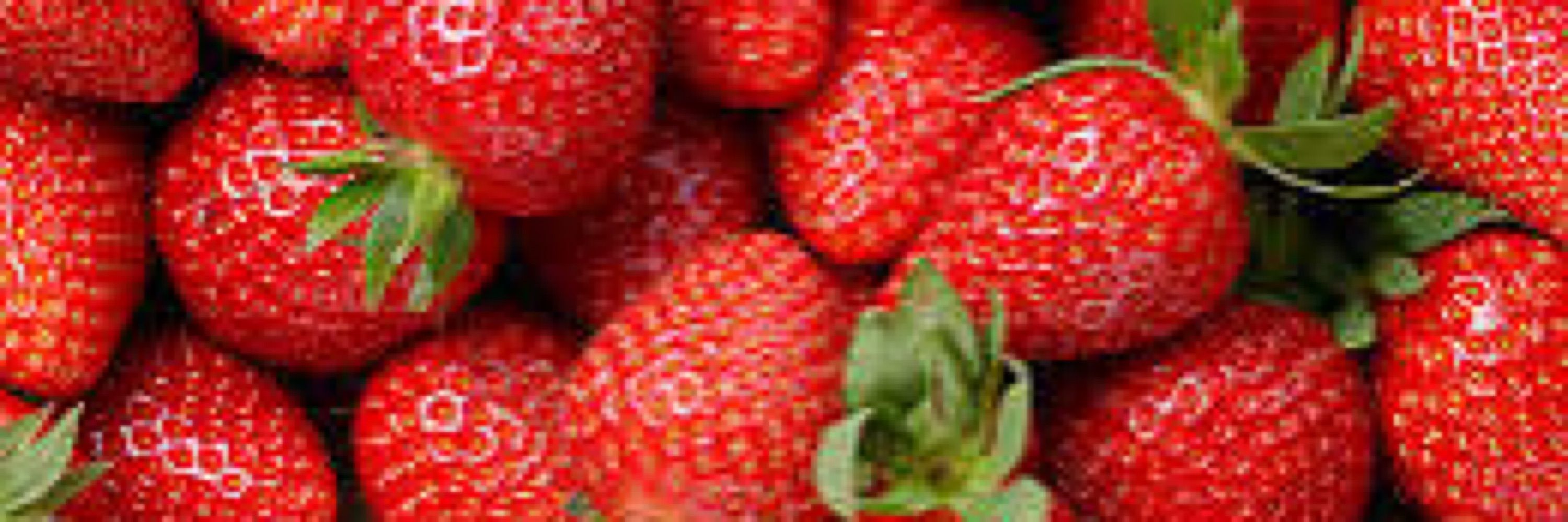 Lafraise28