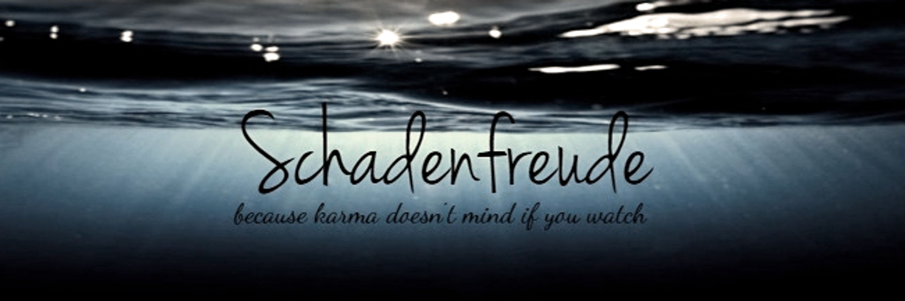 scha·den·freu·de