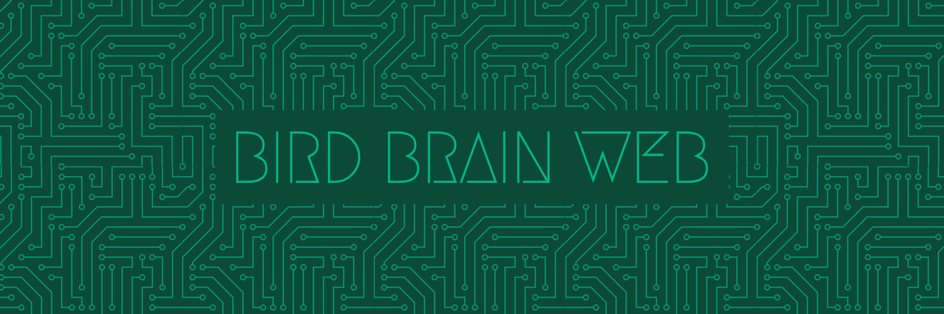 Bird Brain Web