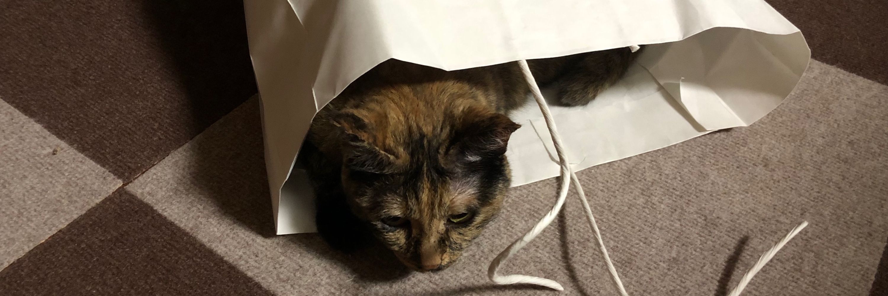 庭の木のバンシルー