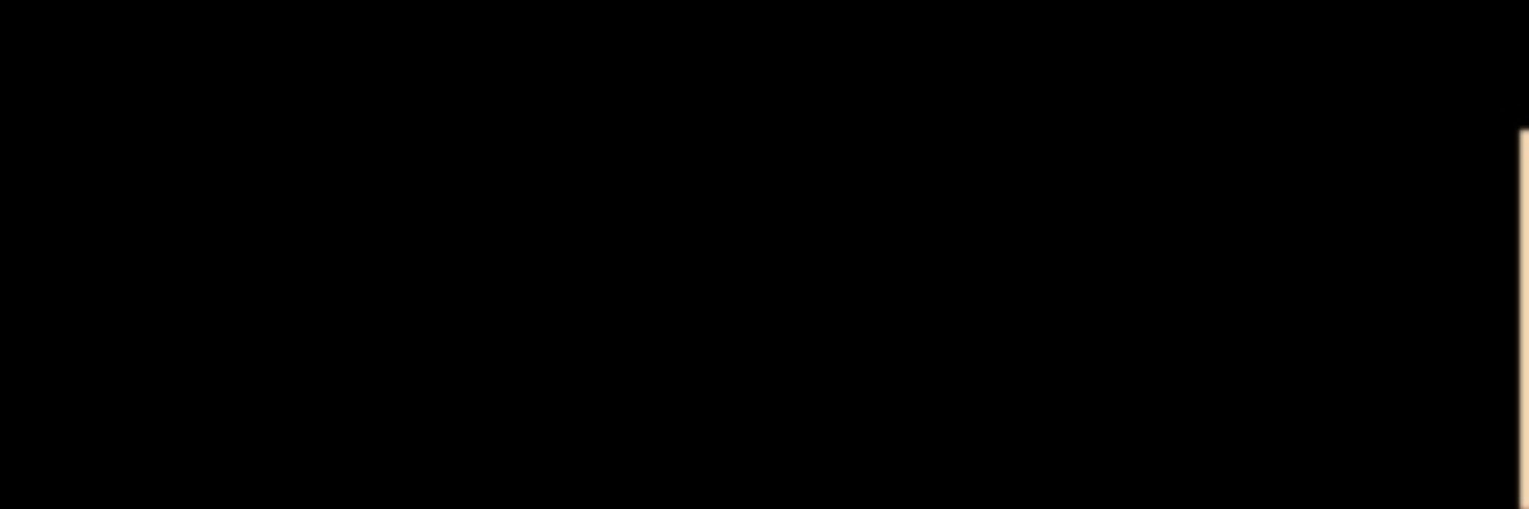 vegito
