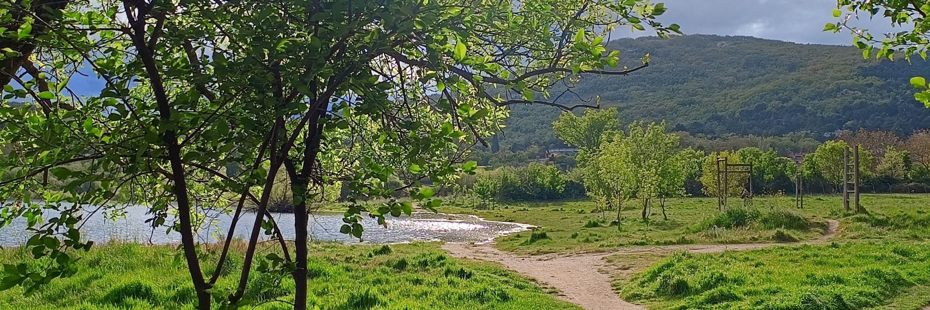 Nessalesson