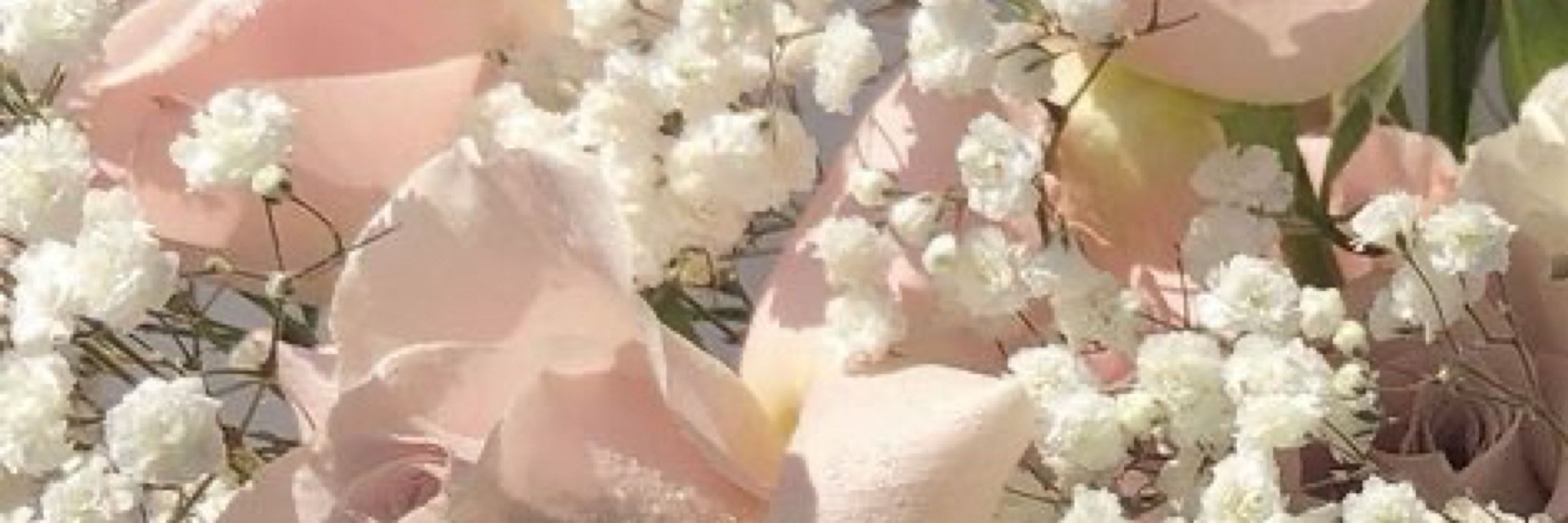 🎀