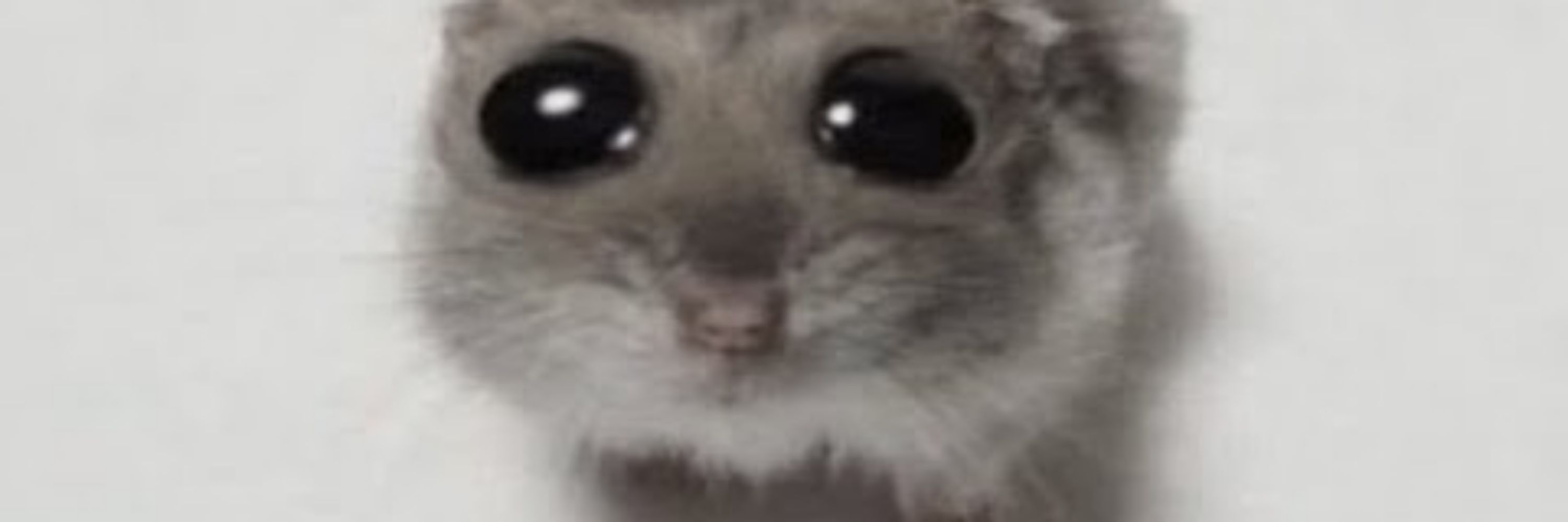 下半身