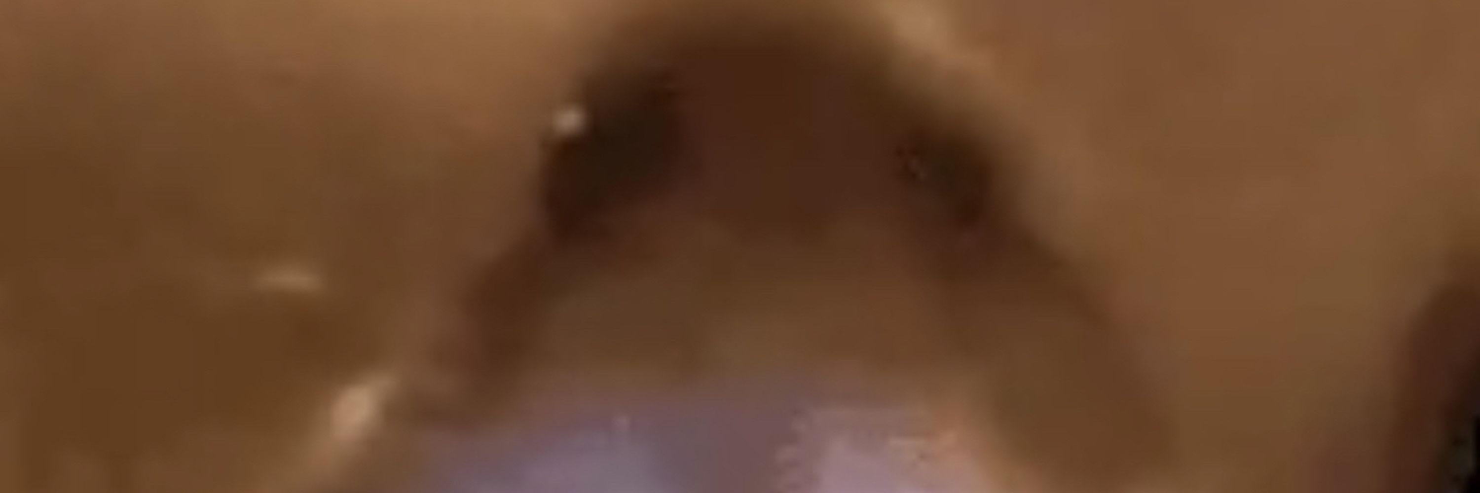 🐥