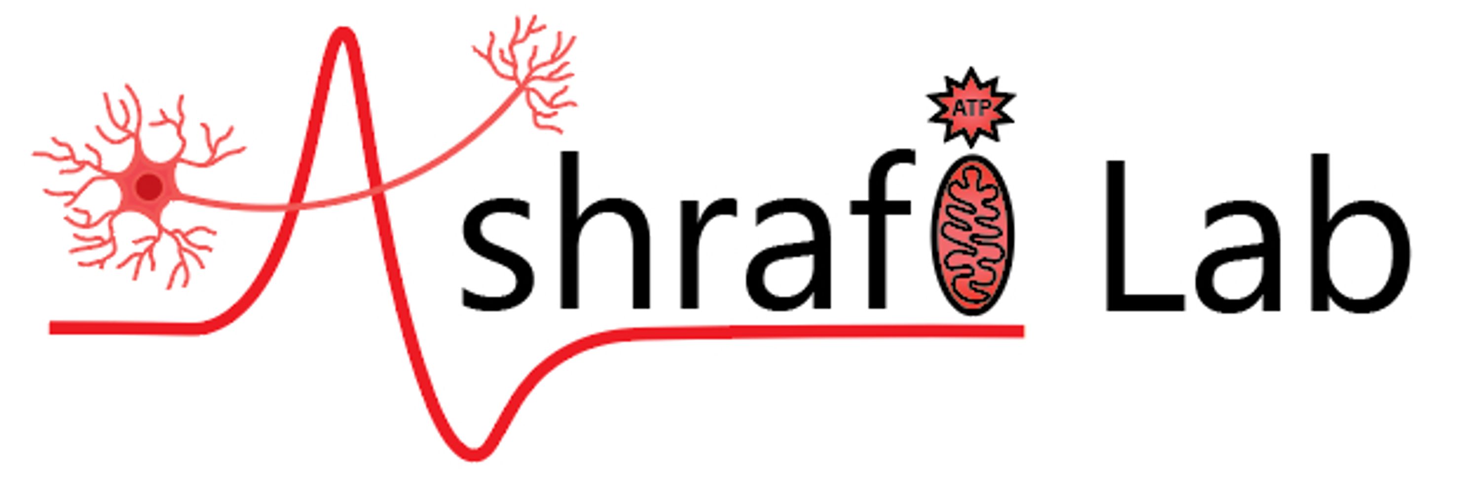 Ashrafi Lab