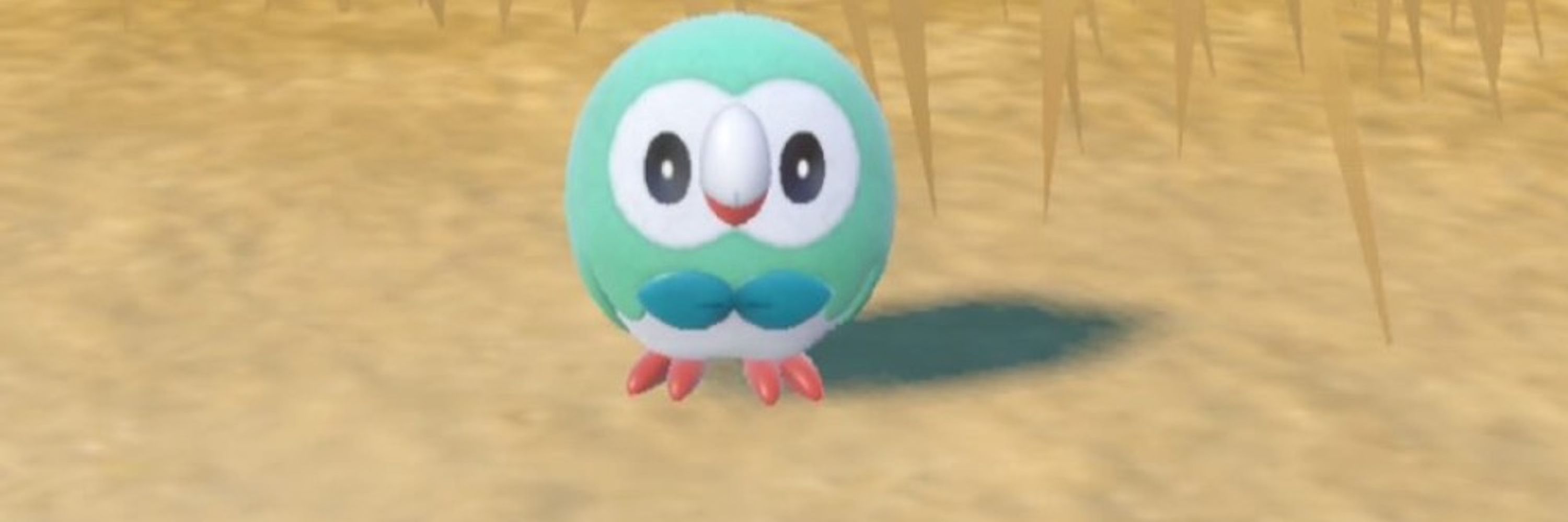 ☼ヒユチャン☼