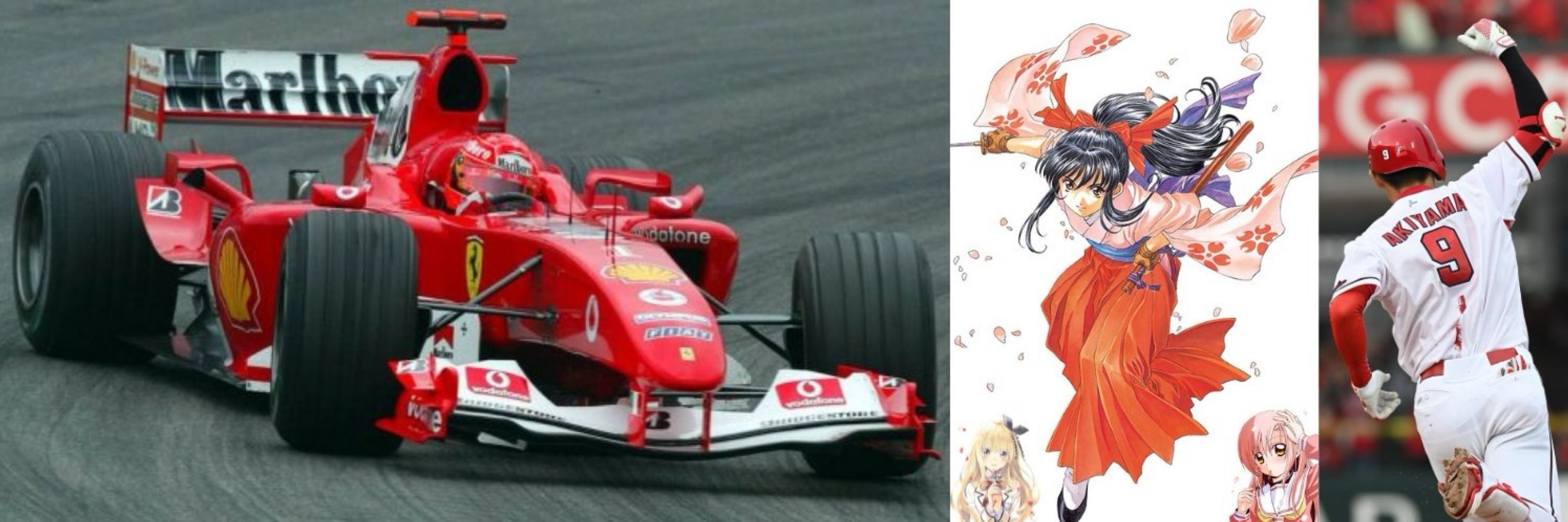 tomato_7205