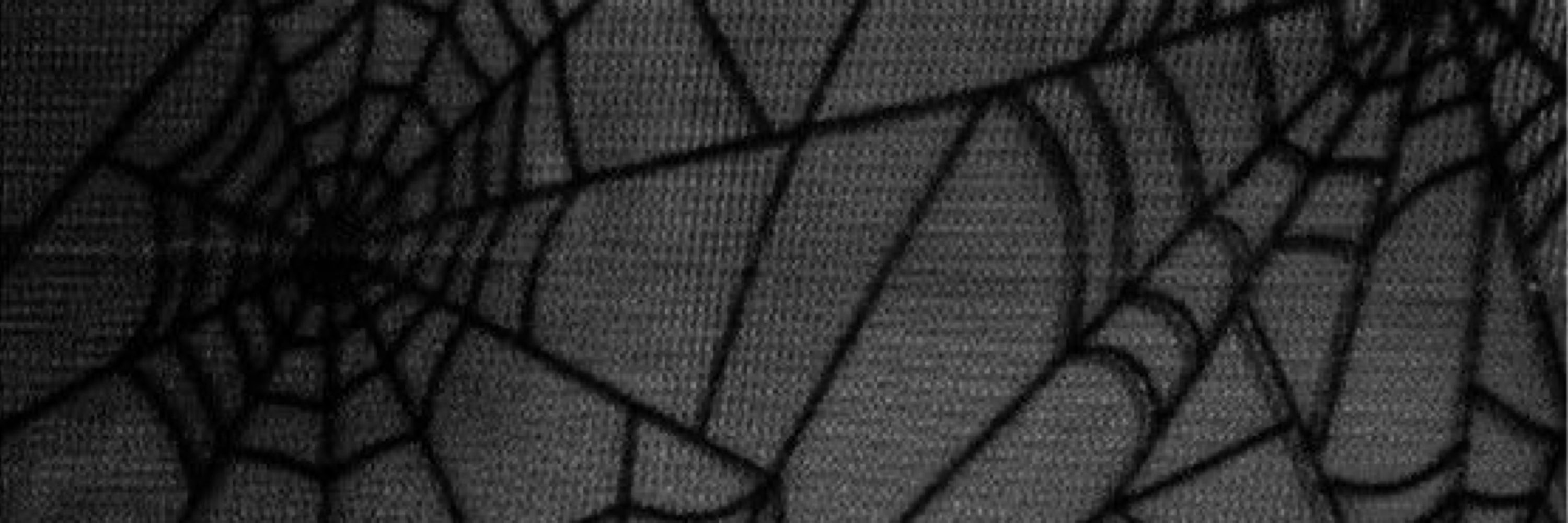 𝖈𝖊𝖑𝖎𝖆 🕷️♡