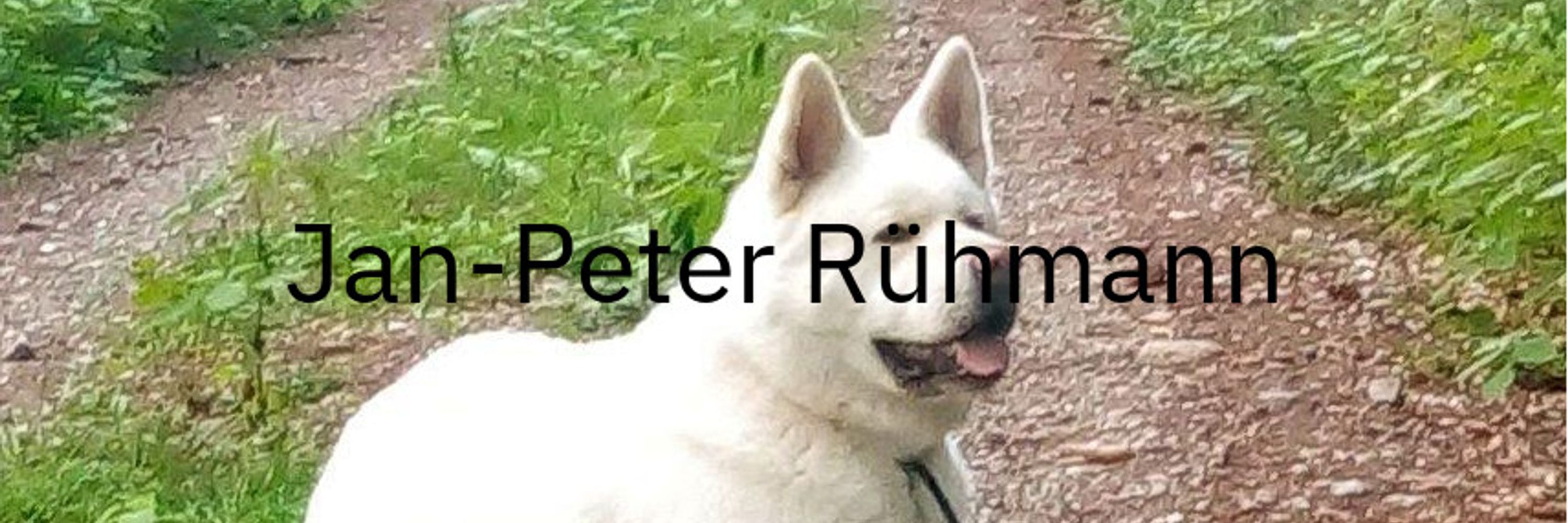 Jan-Peter Rühmann