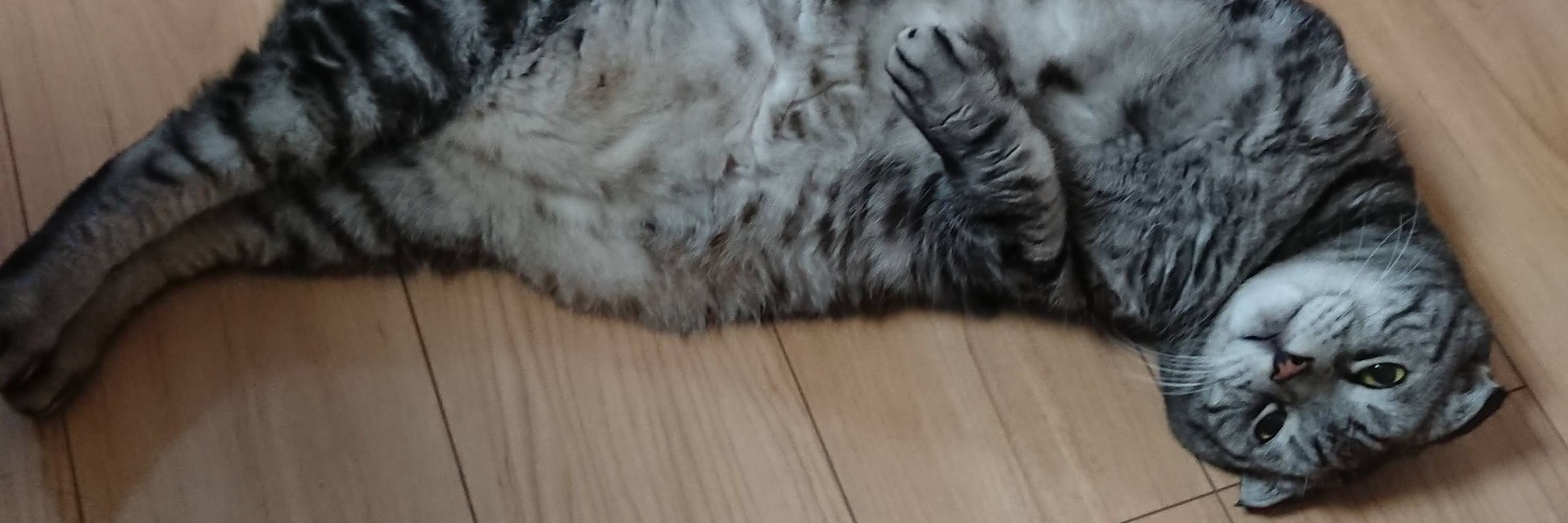 片倉